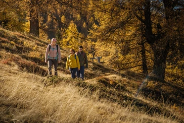 Wandern in Rothwald