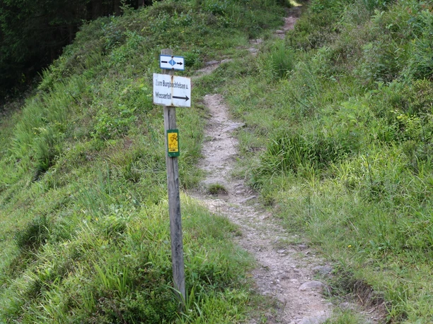 Naturbelassene Wege führen zum Ziel