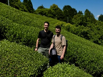 Schnorr spice and tea house