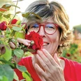 katrin-iskam-c-nicole-muller_rgb.png Frau mit roter Brille riecht an einer roten Rose in blühendem Rosengarten bei warmem Sonnenlicht.