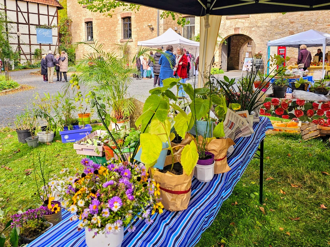 (c) Portal zur Geschichte_20241012_130151.jpg