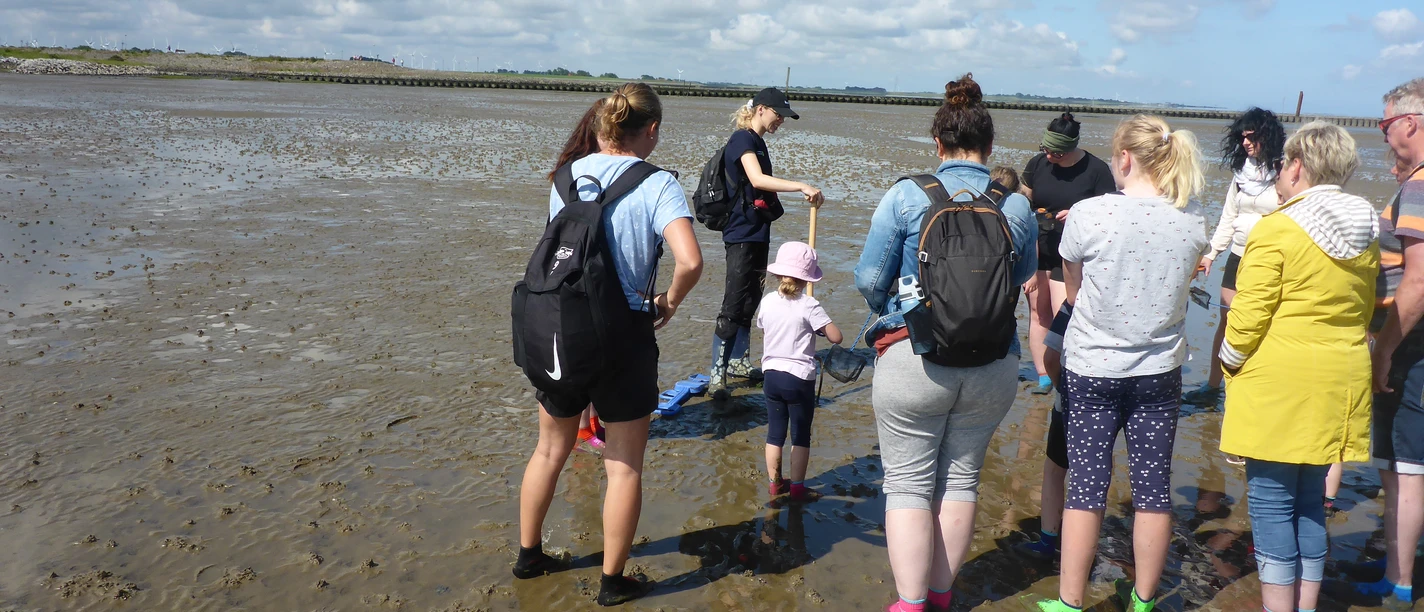 23.06.2024 Woche der Natur Raus ins Watt ©Wattenhuus Bensersiel (60).JPG