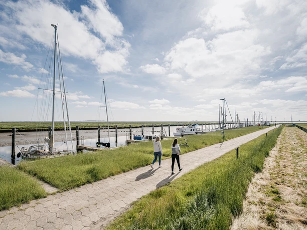 Nordfriesland_Nordstrand_MR_240620_61