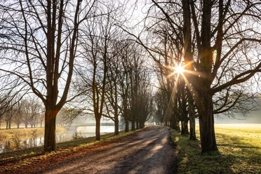 Decksteiner Pond Tree-lined path at Decksteiner Weiher