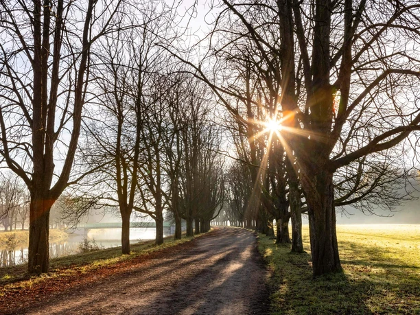 Decksteiner Pond Tree-lined path at Decksteiner Weiher