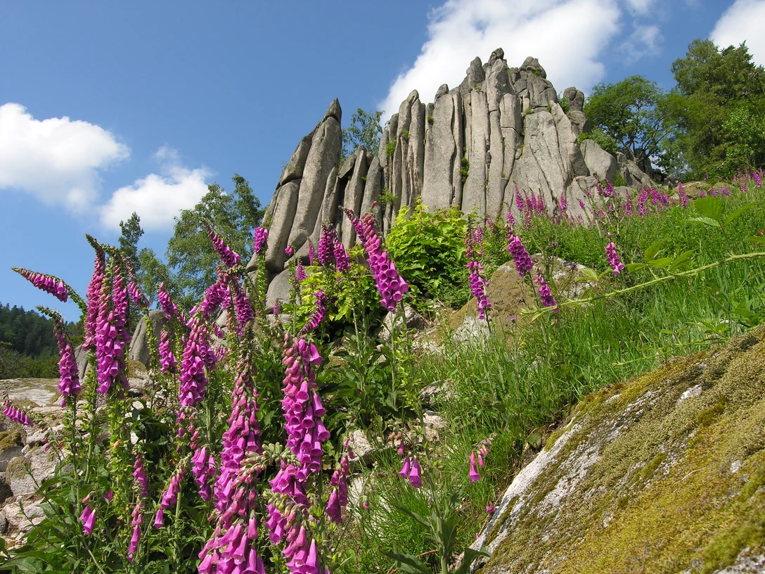 Orgelfelsen bei Gernsbach im Murgtal