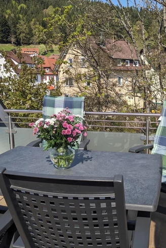 PXL_20250430_091238096