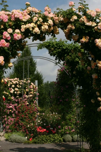 Rosarium Sangerhausen