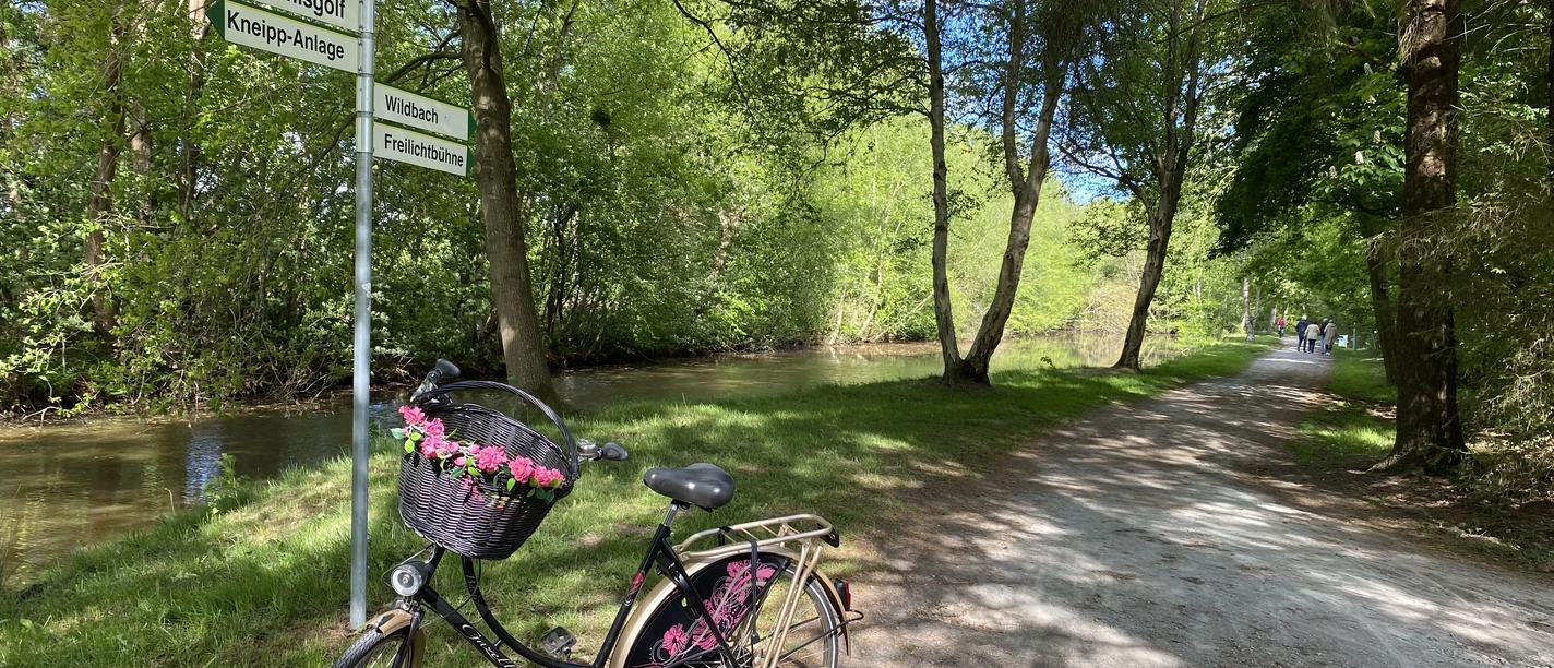25-05-05 09-47-56 9544.jpg Fahrrad mit Blumenkorb lehnt an einem Verkehrsschild, grüne Baumallee führt entlang eines Radwegs.