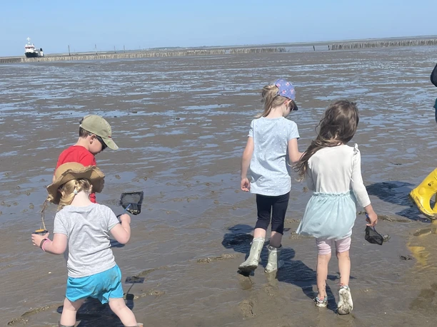 __16.05.2024 Watt zum Buddeln. Bild Lotte Wendler ©Wattenhuus Bensersiel (5).jpg