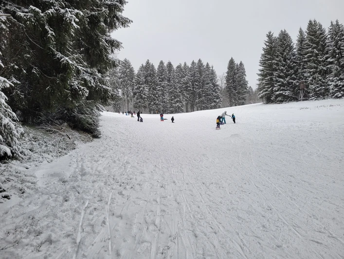 Rodelhang Waldpark Grünheide von unten