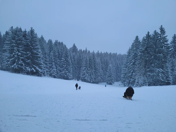 Rodelhang Grünheide Winter von oben