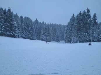 Rodelhang Waldpark Grünheide