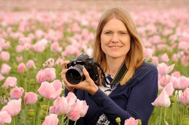 symbolbild_für_fotokurs_mohnblüte_naturpark_frau_holle_nordhessen