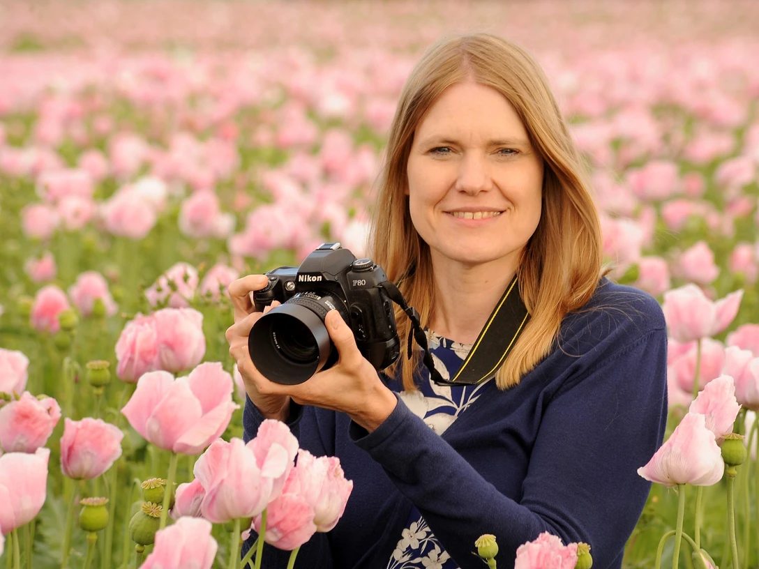 symbolbild_für_fotokurs_mohnblüte_naturpark_frau_holle_nordhessen