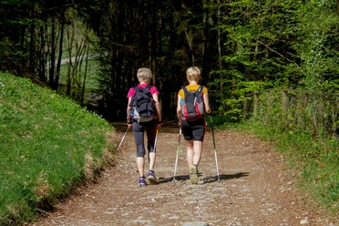 bad-driburg-nordic-walking-sports-3340697_pixabay.jpg Paar mit Wanderstöcken auf dem Fitness-Parcours.