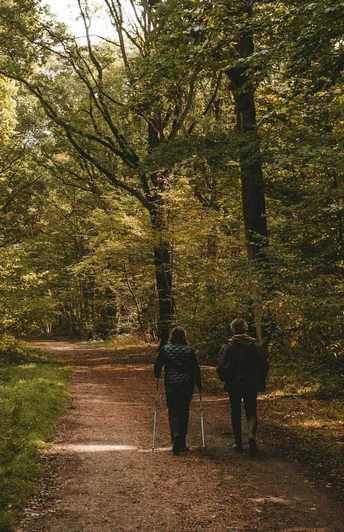 Zwei Personen beim Nordic Walking auf einem Waldweg umgeben von hohen, grünen Bäumen im Sonnenlicht.