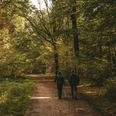 bad-driburg-nordic-walking-pexels-matreding-5483841.jpg Zwei Personen beim Nordic Walking auf einem Waldweg umgeben von hohen, grünen Bäumen im Sonnenlicht.