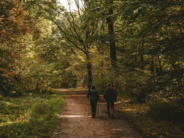 bad-driburg-nordic-walking-pexels-matreding-5483841.jpg Zwei Personen beim Nordic Walking auf einem Waldweg umgeben von hohen, grünen Bäumen im Sonnenlicht.