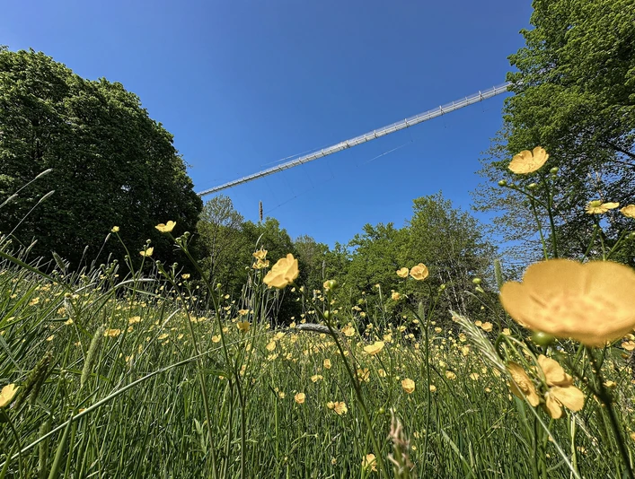 Hängebrücke mit Blumen_Highwalk Rotenburg_@Erlebnisregion Mittleres Fuldatal