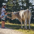 Mutter und Tochter begegnen auf dem Wanderweg einer Kuh