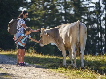 Mutter und Tochter begegnen auf dem Wanderweg einer Kuh