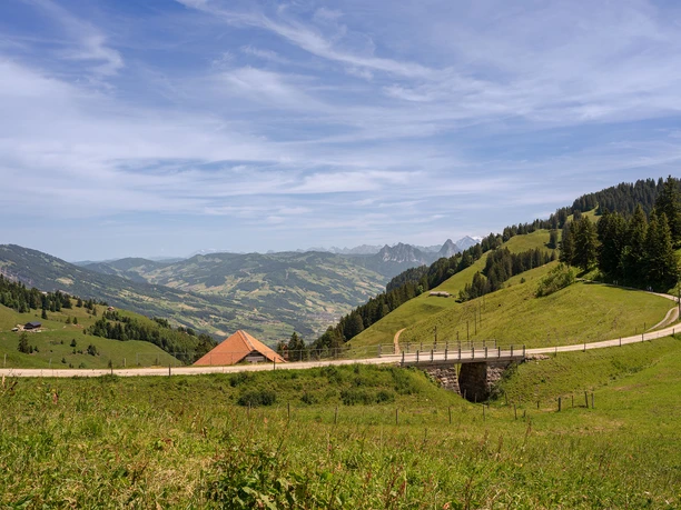 Der Weg führt durch die sommerliche Landschaft mit Blick auf verschiedene Alpbetriebe