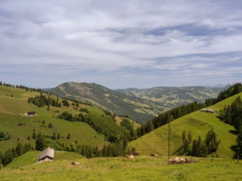 Aussicht auf die Rigi-Landschaft