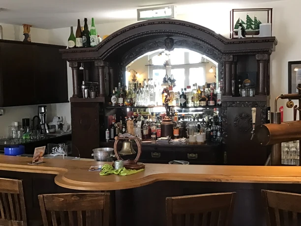 A wood-paneled counter in front of a well-stocked, traditional drinks shelf with a mirror.