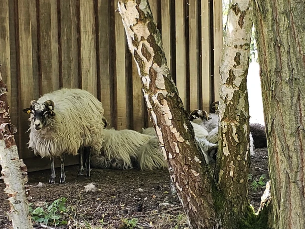 Erlebnisinsel Rückersdorf