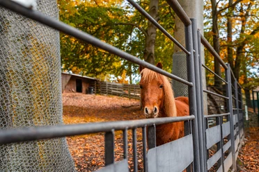 Tierpark Geithain