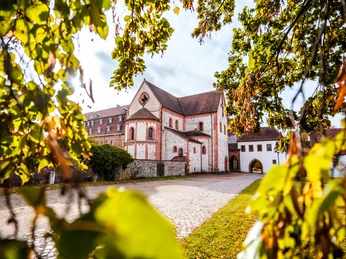 Kloster Wechselburg, Basilika