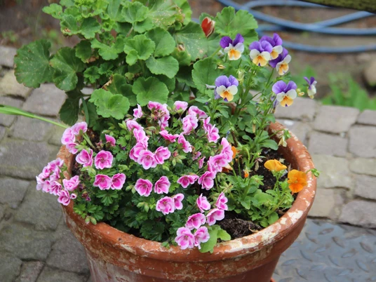 Impressionen vom Bärensteinhof