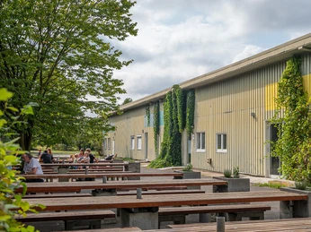 Alter Flugplatz Bonames