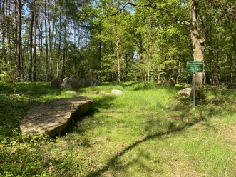 1e5345bac9f32b7b-photo.jpg