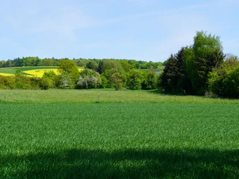 Ludowinenweg 1.JPG Weite grüne Felder und sanfte Hügel mit Bäumen und blühenden Rapsfeldern unter blauem Himmel.