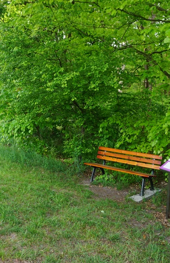 Thementafel am Ahnsbecker Weg Thementafel am Ahnsbecker Weg Wanderweg Hohne