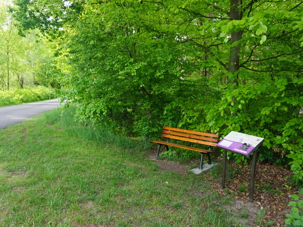 Thementafel am Ahnsbecker Weg Thementafel am Ahnsbecker Weg Wanderweg Hohne
