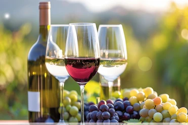 Weinfest-Steinhude-Scheunenviertel Verschiedene Weingläser mit Rotwein und Weinflasche neben Trauben auf einem hellen Untergrund im Freien.