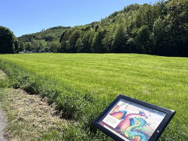 Veischeder Bilderbuchpfad_Weg