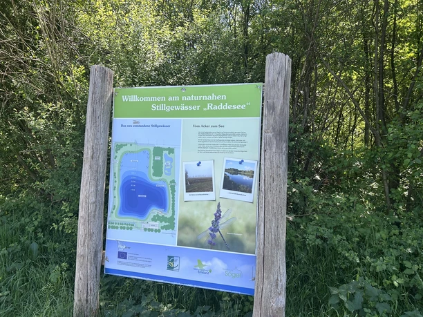 Raddesee ©Naturpark Hümmling Informationstafel zum Stillgewässer Raddesee im Grünen mit Karte und Fotos, umgeben von Bäumen.