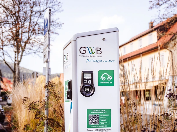 E-Ladestation Wilhelm-Münster-Platz