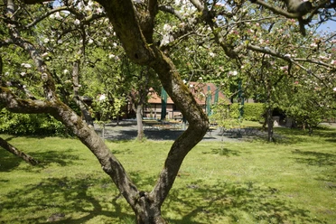 Biergarten am Heimathaus