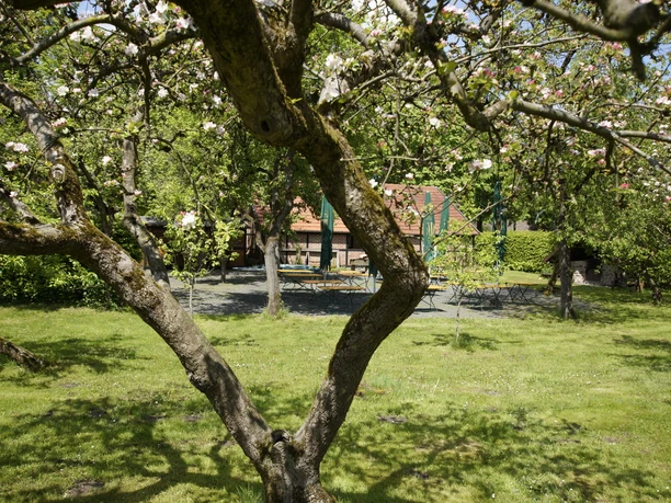 Biergarten am Heimathaus Biergarten am Heimathaus