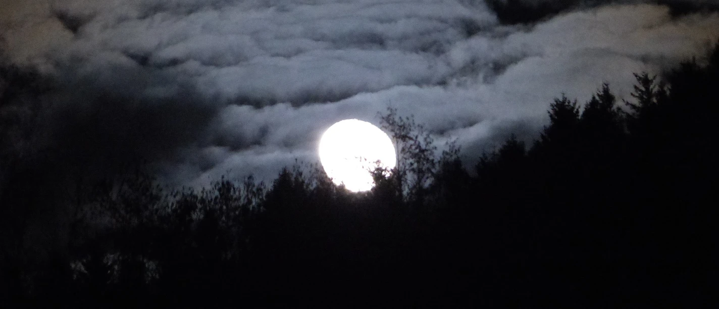 Nachtwanderung in Wolfshagen