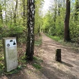 Infostele Wilder Mann auf dem Märchenpfad im Kurpark am Greif in Salzgitter-Bad