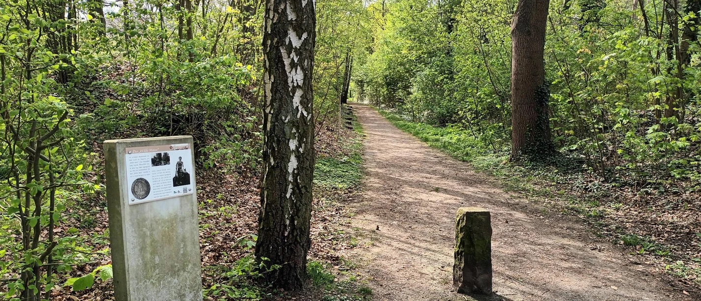 Infostele Wilder Mann auf dem Märchenpfad im Kurpark am Greif in Salzgitter-Bad