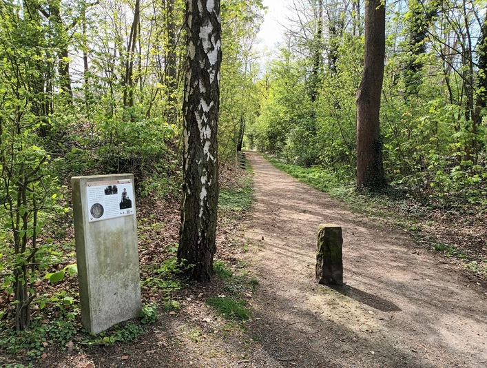 Infostele Wilder Mann auf dem Märchenpfad im Kurpark am Greif in Salzgitter-Bad