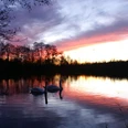Herbstabend am Angelgewässer Weichelsee Herbstabend am Angelgewässer Weichelsee