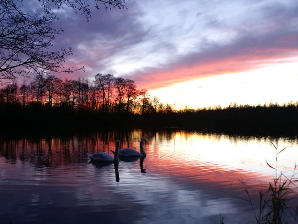 Herbstabend am Angelgewässer Weichelsee Herbstabend am Angelgewässer Weichelsee